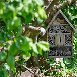 Fewo Kammeltal Apartman